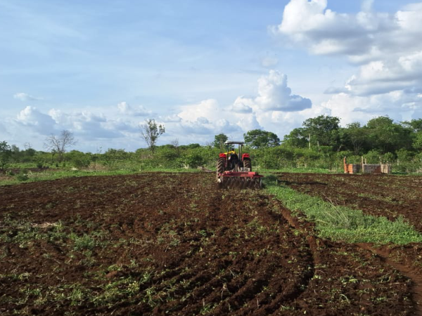 Prefeitura de Cajazeiras realiza corte de terra gratuito na zona rural