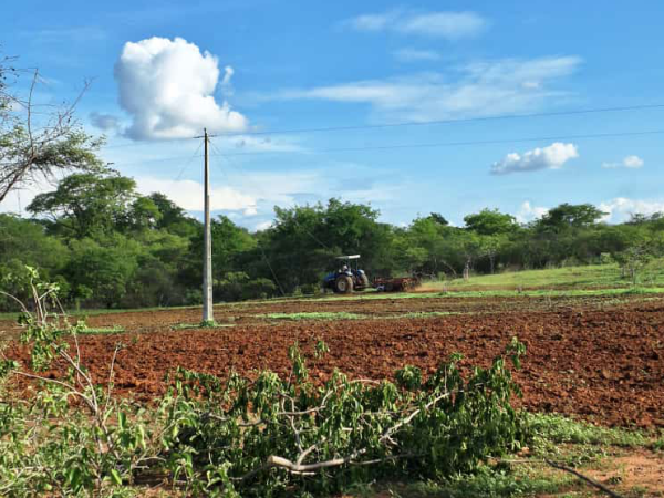 Secretaria de Agricultura intensifica cortes de terras na zona rural de Cajazeiras