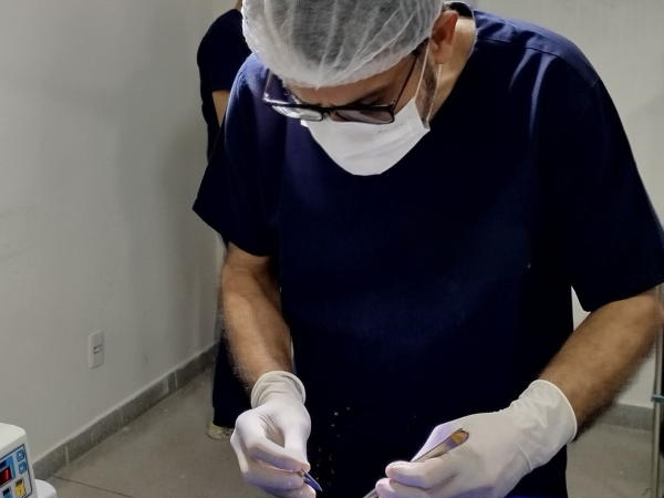 OPERA CAJAZEIRAS: Programa realiza 40 pequenas cirurgias na USF da Agrovila