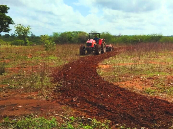 Secretaria de Desenvolvimento Rural de Cajazeiras já efetuou corte em 846 tarefas de terra em 2026