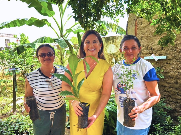 Ação Ambiental: Prefeitura inicia distribuição de 3 mil mudas de plantas nativas em áreas urbanas e rurais