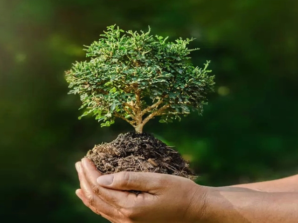 Secretaria de Meio Ambiente discute licenciamento ambiental na Sudema
